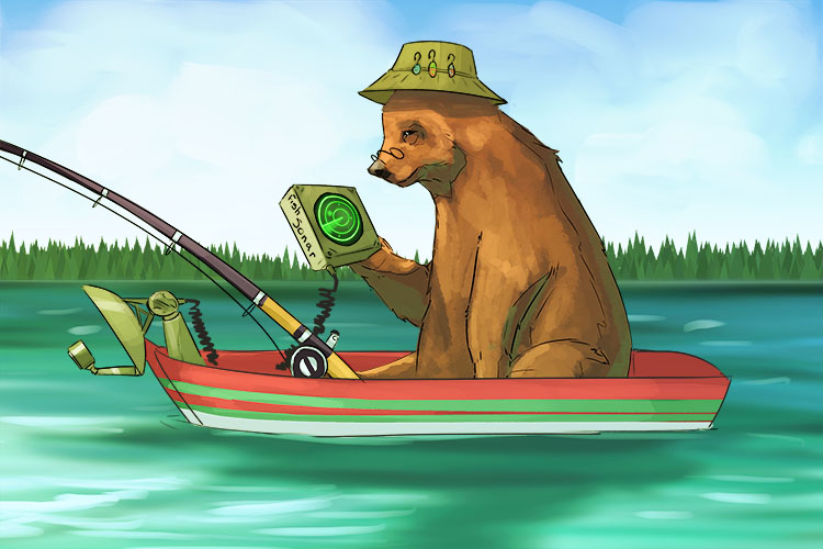 The bear was oh-so (oso) clever when it came to catching fish