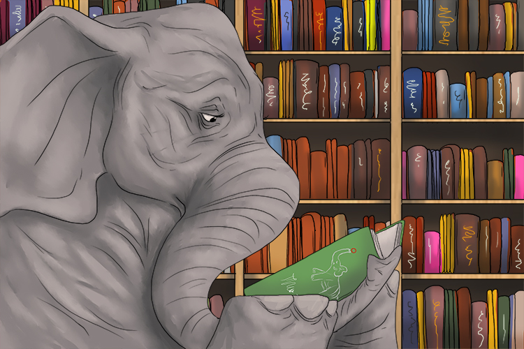 Libro is masculine, so it's el libro. Imagine an elephant reading a book in a library.