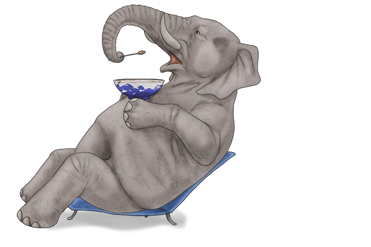 Bol is masculine, so it's el bol. Imagine an elephant eating a bowl of cereal.