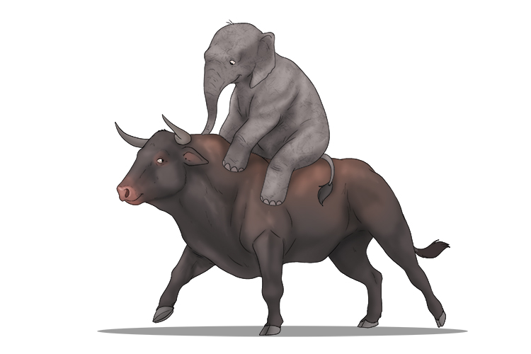 Toro is masculine, so it's el toro. Imagine a baby elephant riding a bull.