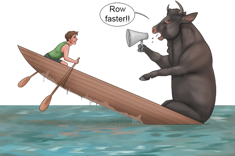 The bull told me to row (toro) faster.
