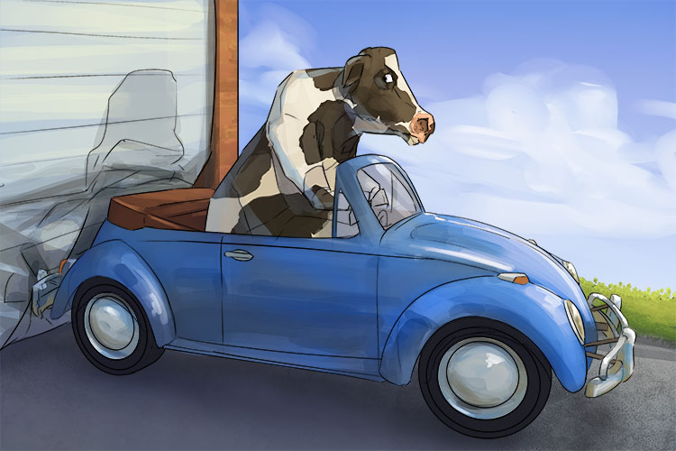 The cow tried to back the car (vaca) into the garage