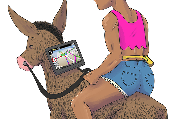 No matter where you go on your donkey day (donde) you will need your satnav.