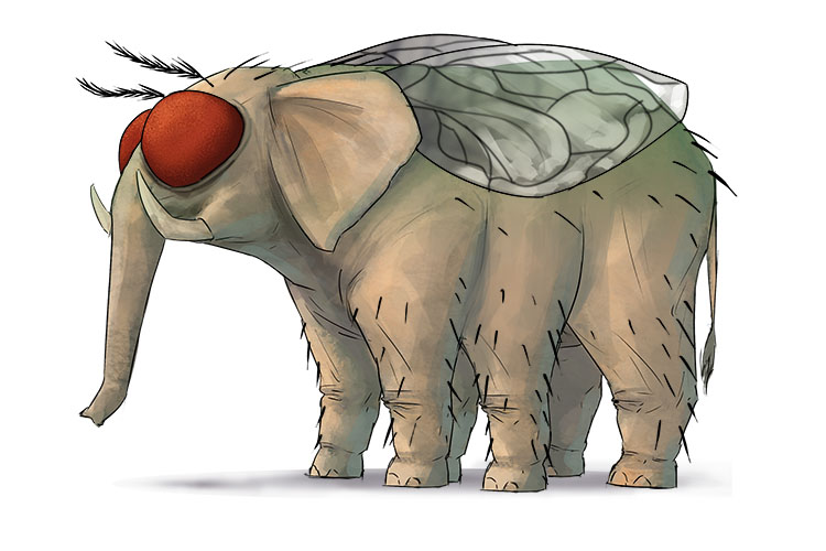 Insecto is masculine, so it's el insecto. Imagine an elephant that's part insect