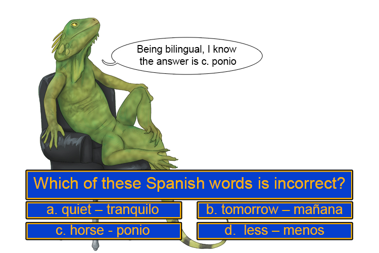 Equal to the challenge was the iguana who was bilingual (igual).