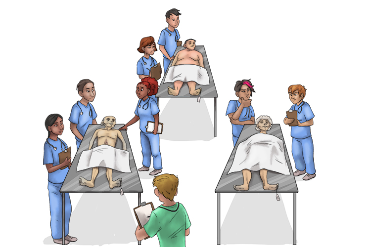 Every cadaver (cada) has medical students around them.