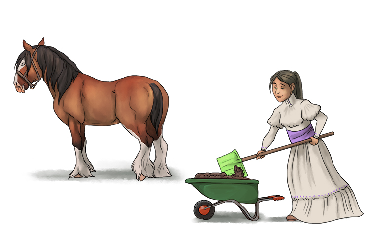 Granja is feminine, so its la granja. Imagine a lady shovelling manure on a farm.