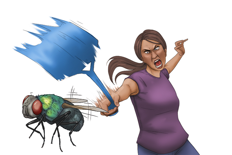 Mosca is feminine, so it's la mosca. Imagine a lady swatting a huge fly.