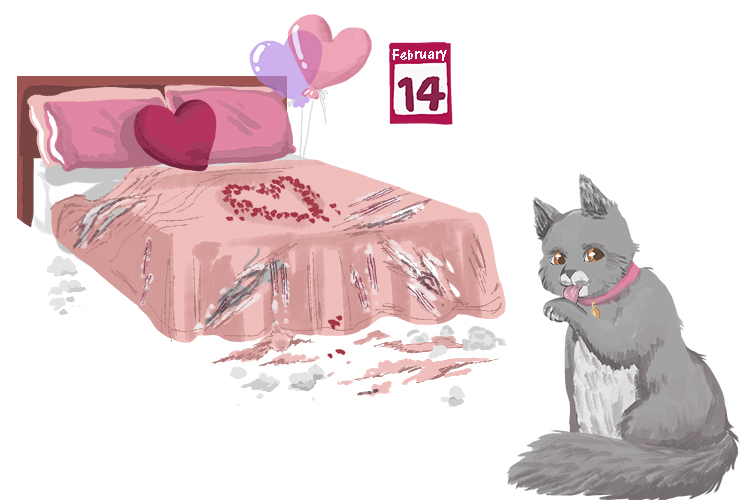 On the fourteenth of February the room was all prepared for Valentine's day until the cat tore their (catorce) bed sheets. 