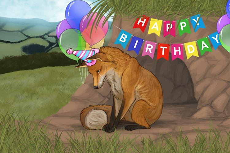 The fox felt sorrow (zorro) when no one came to his birthday party.