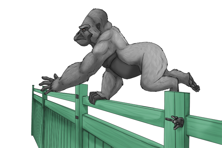 The gorilla (G) jumped the gate (G=hard G).
