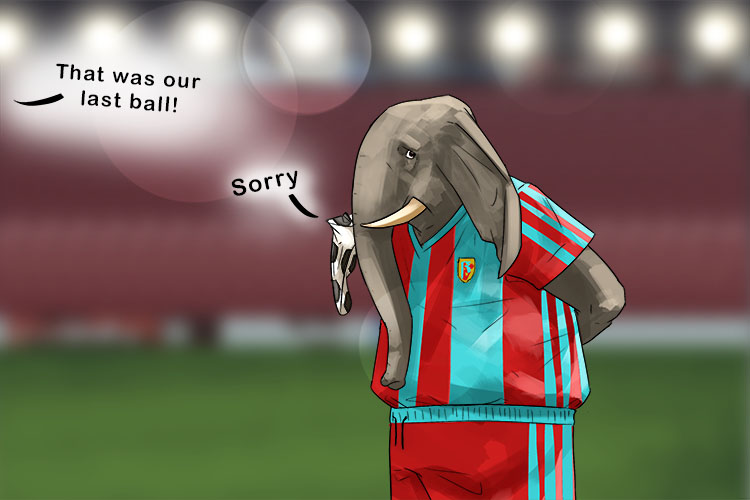 Partido is masculine, so it's el partido. Imagine elephants in a sports game