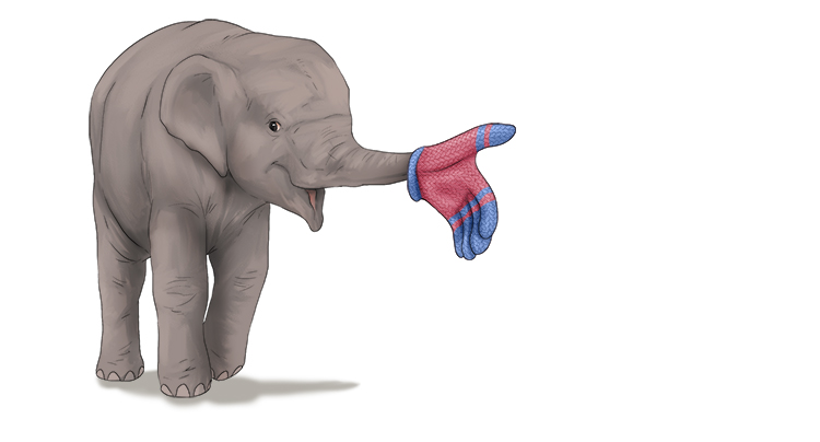 Guante is masculine, so it's el guante. Imagine an elephant wearing a glove.