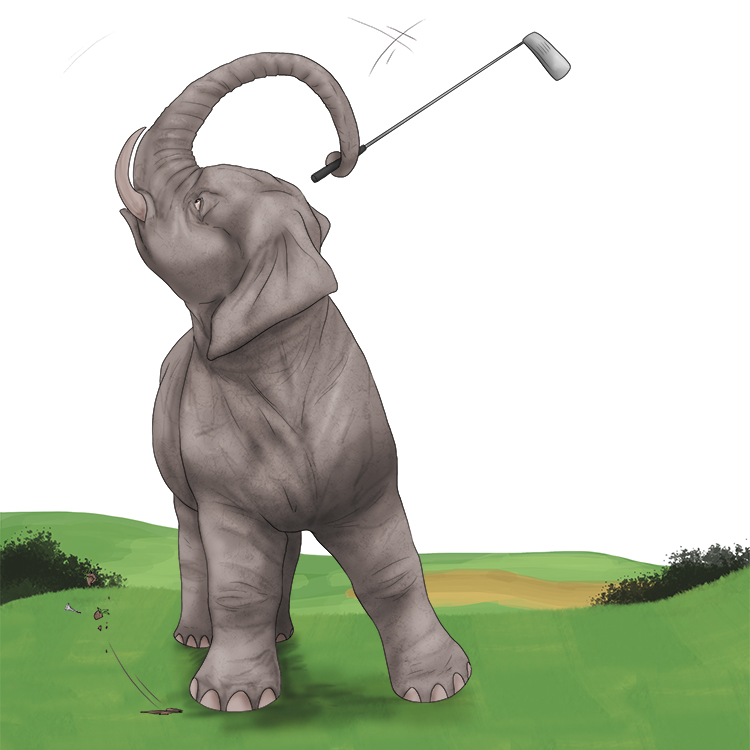 Golf is masculine, so it's el golf. Imagine an elephant playing golf.