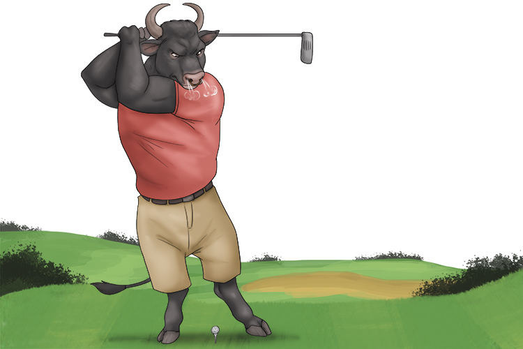 The bull enjoys playing golf (golf).