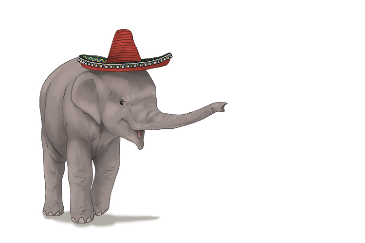 Sombrero is masculine, so it's el sombrero. Imagine an elephant wearing a hat.