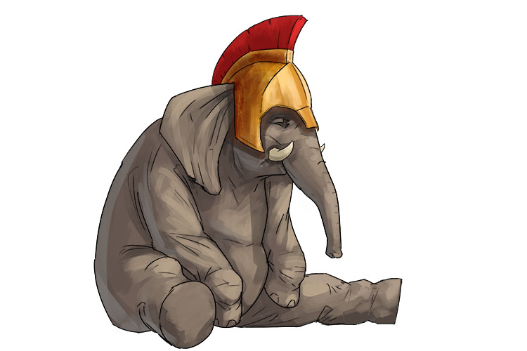 Casco is masculine, so it's el casco. Imagine an elephant wearing a helmet