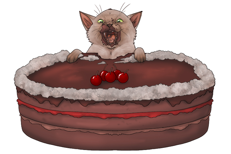 The kitten loves gateaux, and can eat a (gatita) whole one.