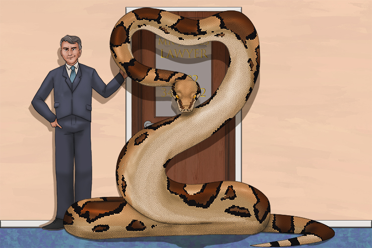 The lawyer had a boa that guarded a (abogada) door.