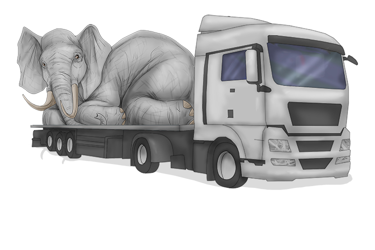 Camión is masculine so it's el camión. Imagine a lorry carrying an elephant.