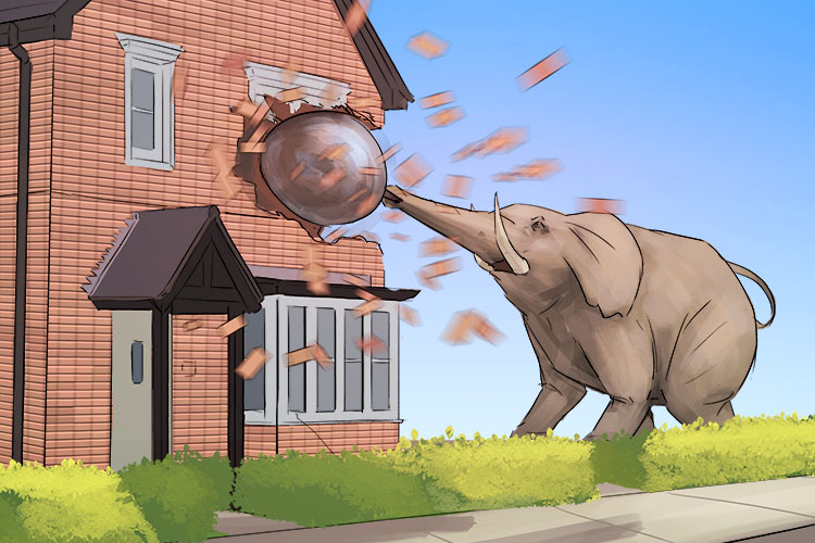 Momento is masculine, so it's el momento. Imagine an elephant having a moment of madness and demolishing a house