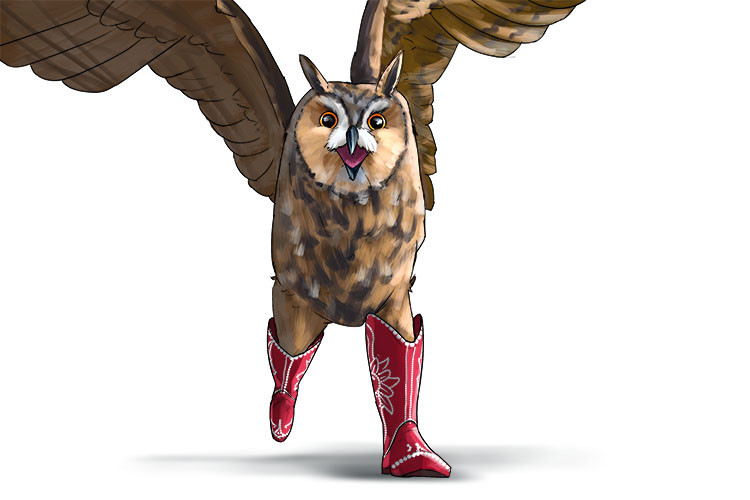 I gave the owl some new boots, and he was overjoyed (búho)