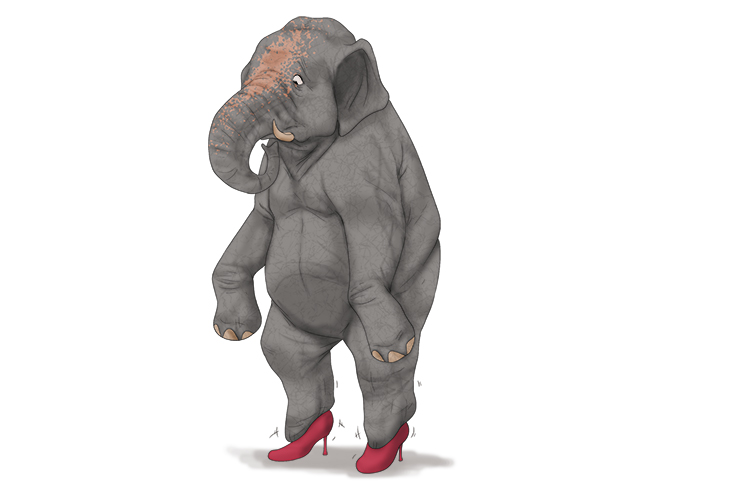 Par is masculine, so it's el par. Imagine an elephant wearing a pair of shoes.