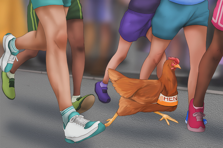 The people were surprised to see a hen take (gente) part in a marathon.