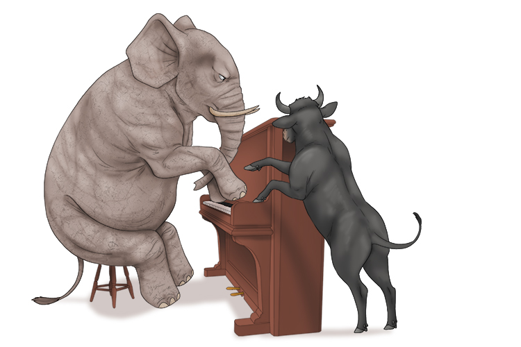 Animal is masculine, so it's el animal. Imagine an elephant learning to play the piano.