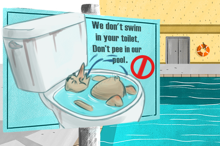 Going to the swimming pool is fun, but the person who pee's in a (piscina) pool can spoil things for everyone.