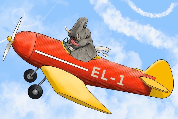 Avión is masculine, so it's el avión. Imagine an elephant flying a plane.