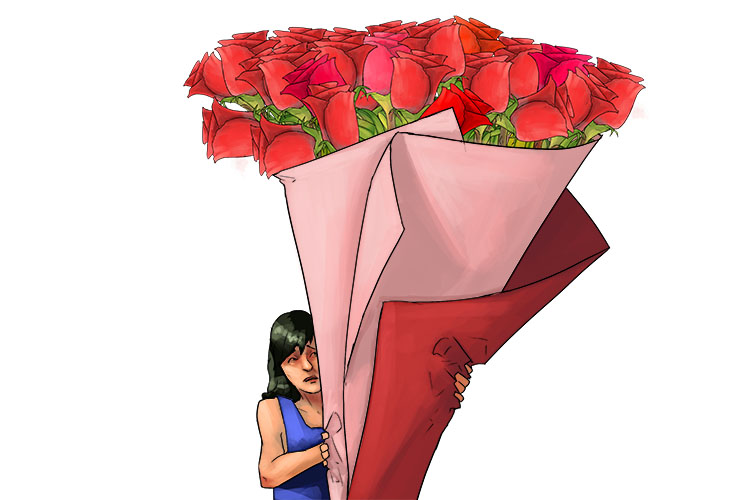 Rosa is feminine, so it's la rosa. Imagine a lady holding a huge bouquet of roses