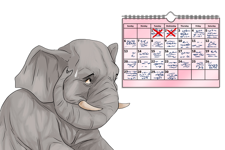 Horario is masculine, so it's el horario. Imagine an elephant with a busy schedule.