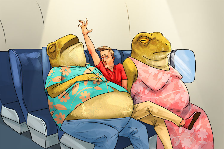 This seat isn't great. I would prefer a seat away from these enormous toads (asiento)
