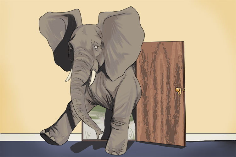 Lado is masculine, so it's el lado. Imagine an elephant's sides getting stuck in a doorway because he's so wide.