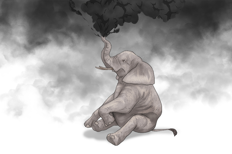 Humo is masculine, so it's el humo. Imagine smoke coming from an elephant's trunk.