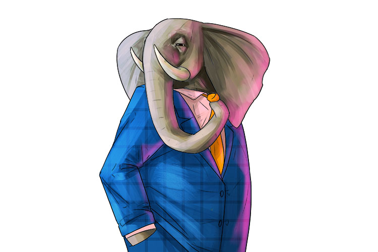 Traje is masculine, so it's el traje. Imagine an elephant wearing a suit