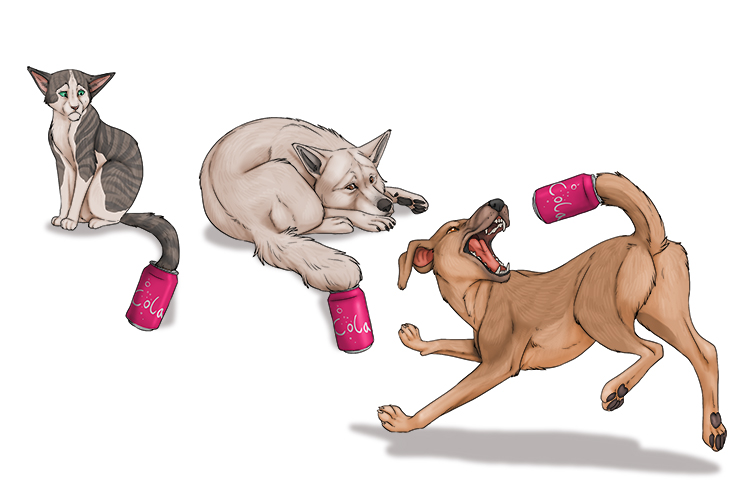 The tail of each animal had a cola (cola) can on it.