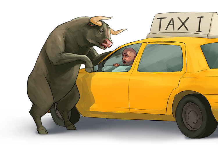 The bull hailed a taxi (taxi)