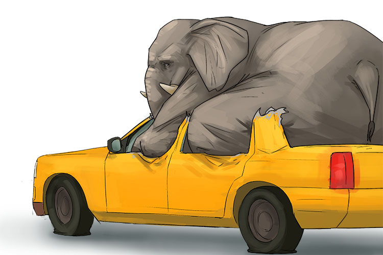 Taxi is masculine, so it's el taxi. Imagine an elephant driving a taxi