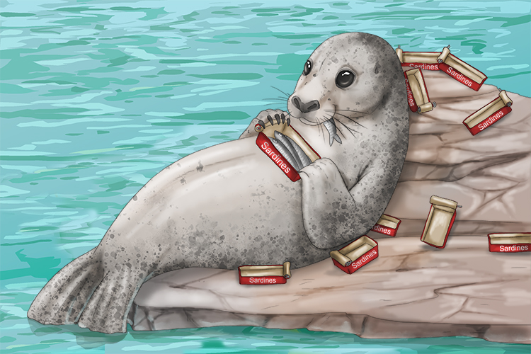 The seal never seems to tire of eating his favourite cans of sardines (cansar).