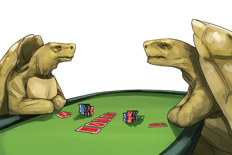 My pet tortoises were impressive. I taught two of them to gamble (tortuga)