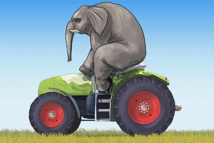 Tractor is masculine, so it's el tractor. Imagine an elephant driving a tractor