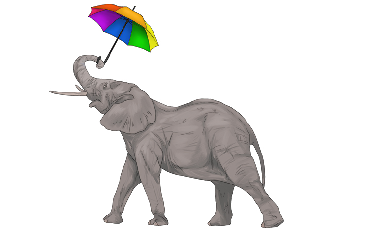 Paraguas is masculine, so it's el paraguas. Imagine an elephant using an umbrella.