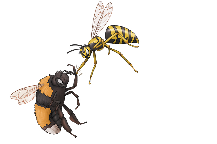 The wasps and the bees hated each other with a passion (avispa).