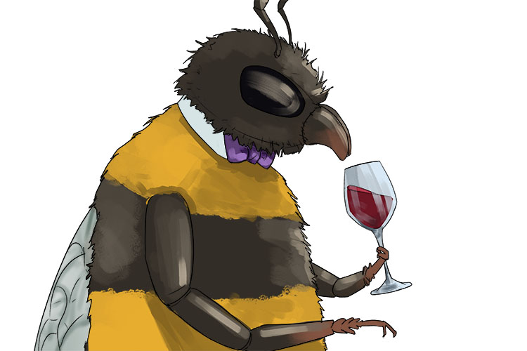 The wine is of the highest quality; the bee knows (vino) by the smell