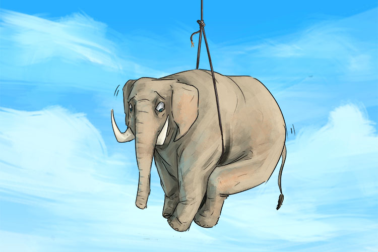 Cable is masculine, so it's el cable. Imagine an elephant being hoisted by a length of wire