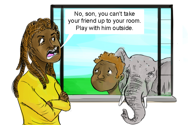 Hijo is masculine, so it's el hijo. Imagine someone's son invites a friend home – and it turns out to be an elephant!