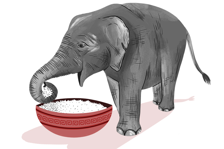 Arroz is masculine, so its el arroz. Imagine an elephant eating a huge bowl of rice. 