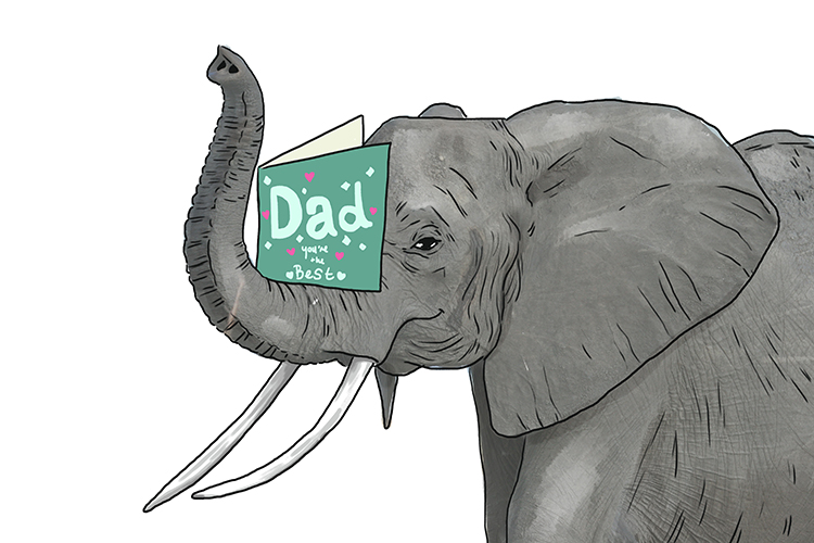 dia is masculine, so it's el dia. Imagine an elephant with a father's day card